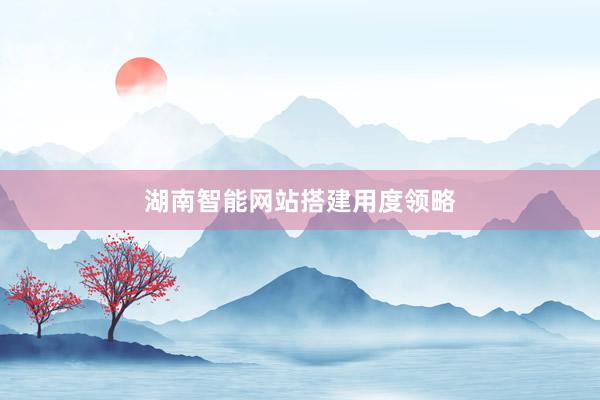 湖南智能网站搭建用度领略