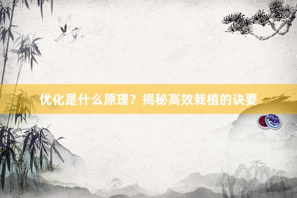 优化是什么原理?揭秘高效栽植的诀要